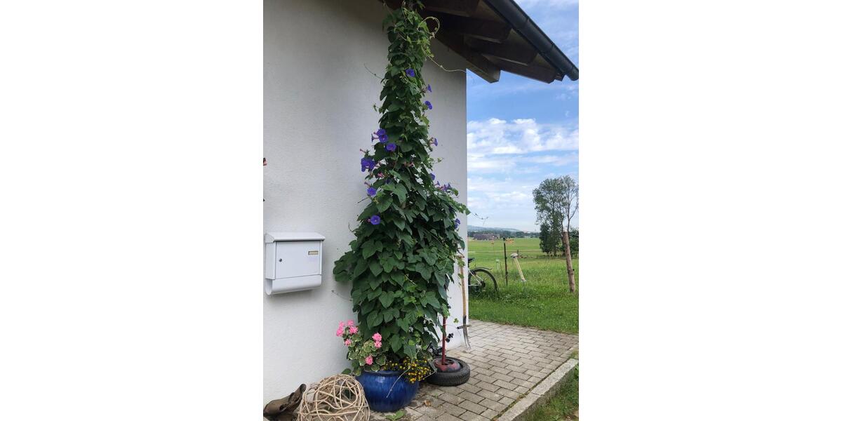 Dachgeschoßwohnung Durach - 1 Zimmer, 113 m&sup2;, 1.400&euro; | Angebot:24673278