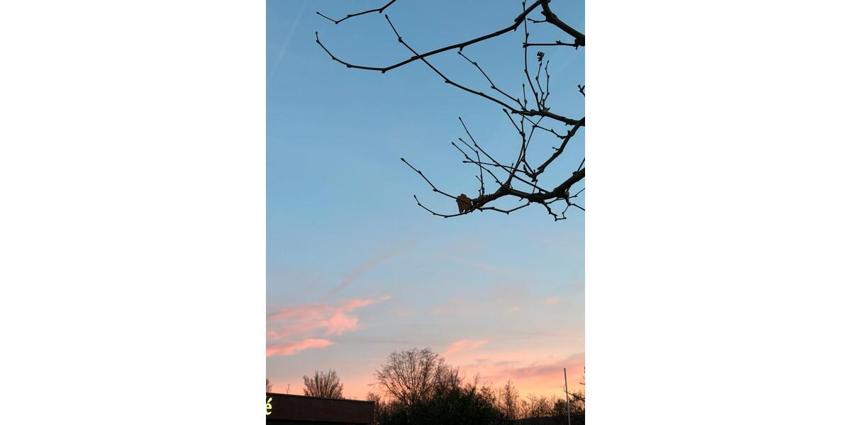 Erdgeschoßwohnung Würzburg Frauenland - 2 Zimmer, 55 m&sup2;, 770&euro; | Angebot:25232293