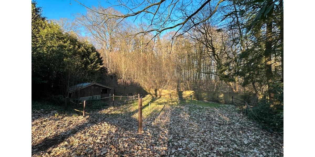 Erdgeschoßwohnung Kellinghusen - 3 Zimmer, 50 m&sup2;, 500&euro; | Angebot:25988124