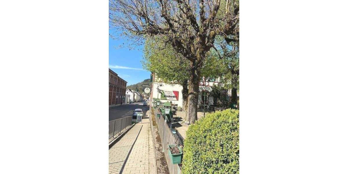 Gewerbeobjekt Hornberg Stadtgebiet - 1.600&euro; | Angebot:26119438