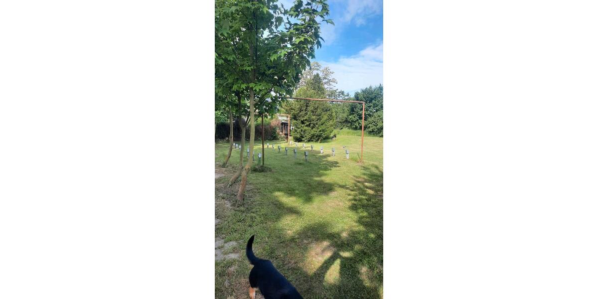 Etagenwohnung Jüterbog - 790&euro; | Angebot:25944238