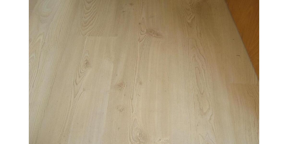 Erdgeschoßwohnung Freiberg - 2 Zimmer, 61 m&sup2;, 460&euro; | Angebot:26697000