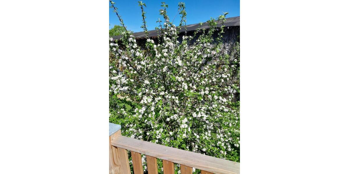 Terrassenwohnung Mohrkirch - 4 Zimmer, 95 m&sup2;, 850&euro; | Angebot:25945735