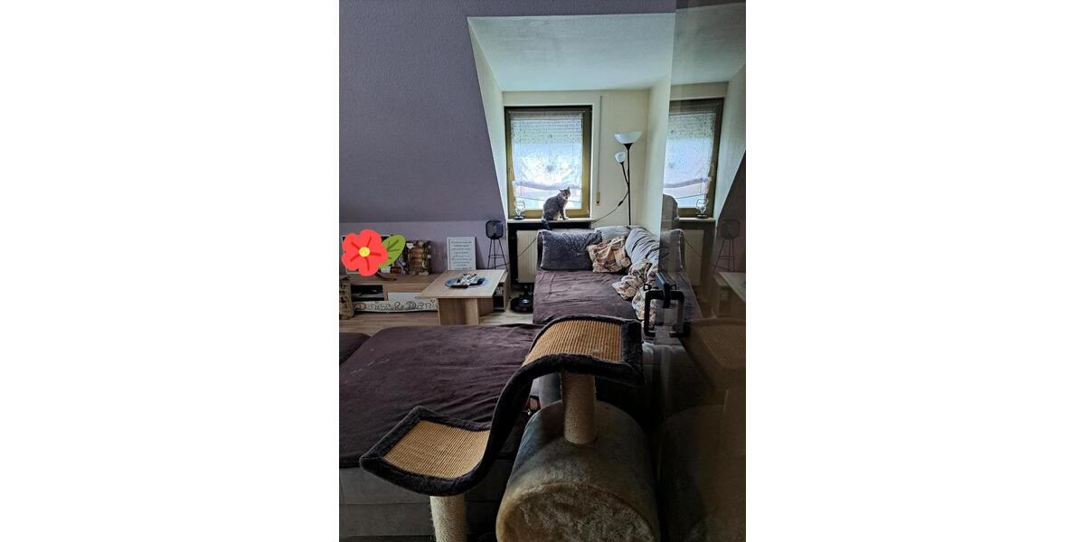 Dachgeschoßwohnung Rotenburg an der Fulda - 2 Zimmer, 60 m&sup2;, 500&euro; | Angebot:24755036