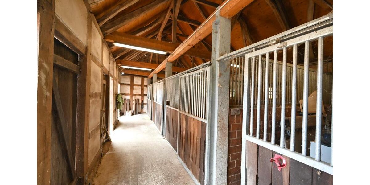 Gewerbeobjekt Badbergen - 125&euro; | Angebot:22011526