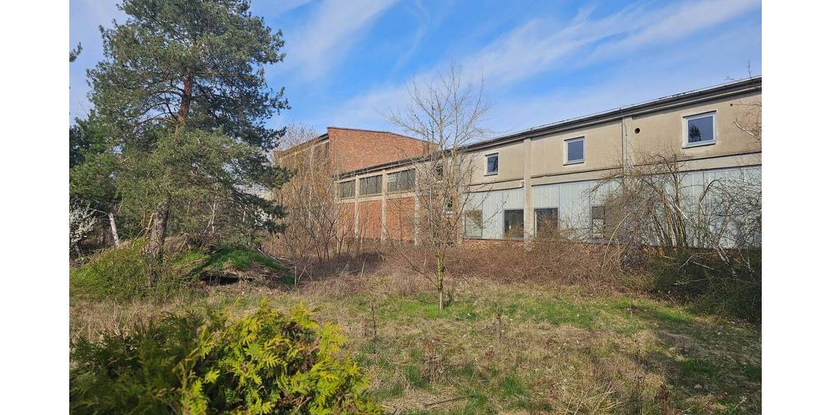 Einfamilienhaus Laußig - 4.450&euro; | Angebot:23842337