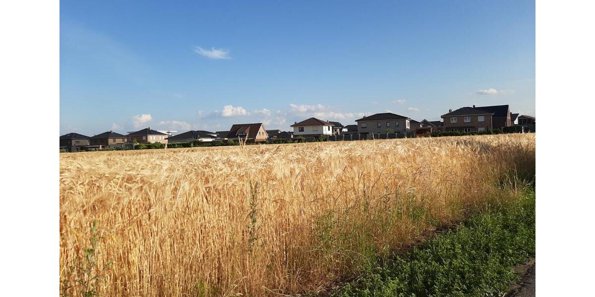 Erdgeschoßwohnung Damme - 2 Zimmer, 42 m&sup2;, 500&euro; | Angebot:25934287