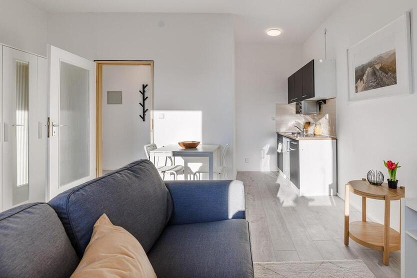 Möbliertes 1-Zi Apartment inkl. WiFi im Stadtzentrum