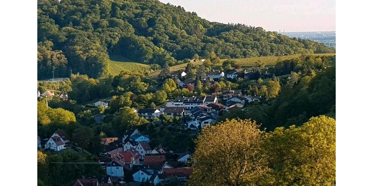 Wohnen auf Zeit Heppenheim (Bergstraße) - 2 Zimmer, 27 m&sup2;, 30&euro; | Angebot:10848894