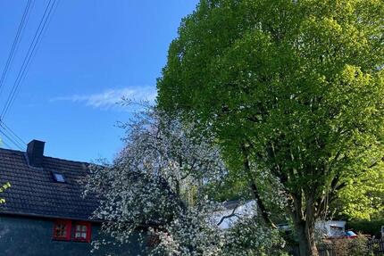 Wohnen auf Zeit Malberg - 2 Zimmer, 60 m&sup2;, 68&euro; | Angebot:25548742