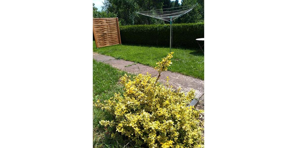 Reihenhaus Zerf - 3 Zimmer, 120 m&sup2;, 845&euro; | Angebot:26040443