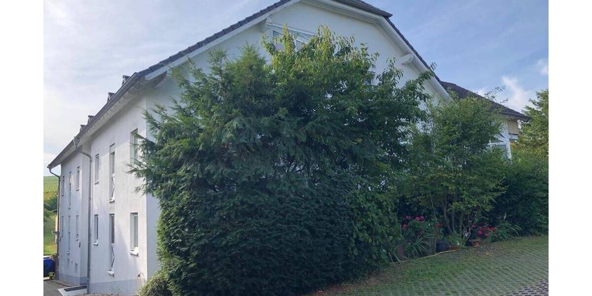 Etagenwohnung Hackenheim - 2 Zimmer, 53 m&sup2;, 600&euro; | Angebot:25997617