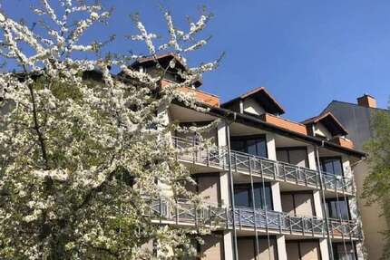 Wohnung zum Mieten in Gießen 450 € 25.38 m²