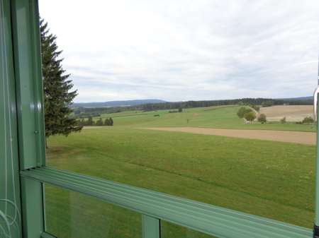 Wohnung zum Mieten in Löffingen Dittishausen 395 € 37 m² 1.5 zimmer