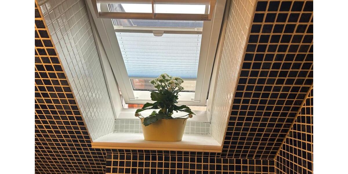 Dachgeschoßwohnung Boizenburg/Elbe Elbe - 1 Zimmer, 25 m&sup2;, 420&euro; | Angebot:26705586