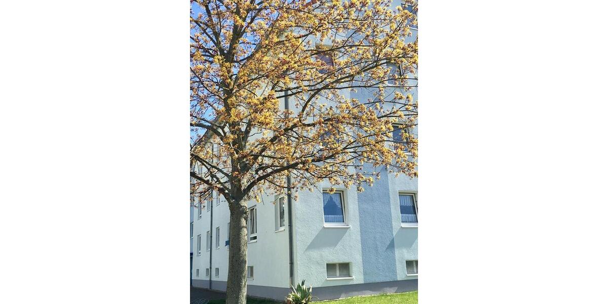 Etagenwohnung Hainichen - 2 Zimmer, 58 m&sup2;, 310&euro; | Angebot:22446260