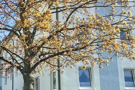 Wohnung Hainichen - 2 Zimmer, 58 m&sup2;, 310&euro; | Angebot:22446260