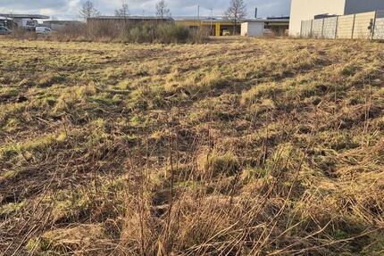 Gewerbeobjekt Saarwellingen - 800&euro; | Angebot:24570407