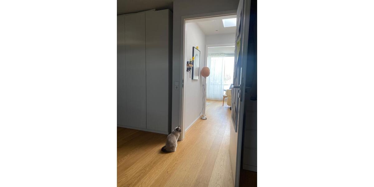 Wohnen auf Zeit Berlin Pankow - 2 Zimmer, 50 m&sup2;, 1.200&euro; | Angebot:26698932