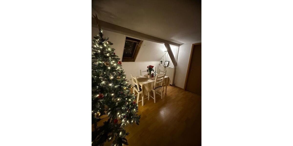 Dachgeschoßwohnung Ludwigsburg - 3 Zimmer, 75 m&sup2;, 900&euro; | Angebot:24756260
