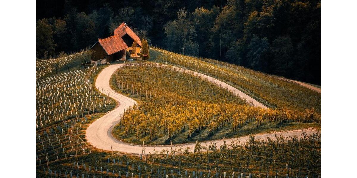 Etagenwohnung Oberkirch - 3 Zimmer, 91 m&sup2;, 683&euro; | Angebot:24788684