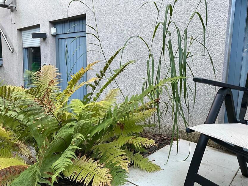 Wohnung im Naturschutzgebiet HonzrathHellwies