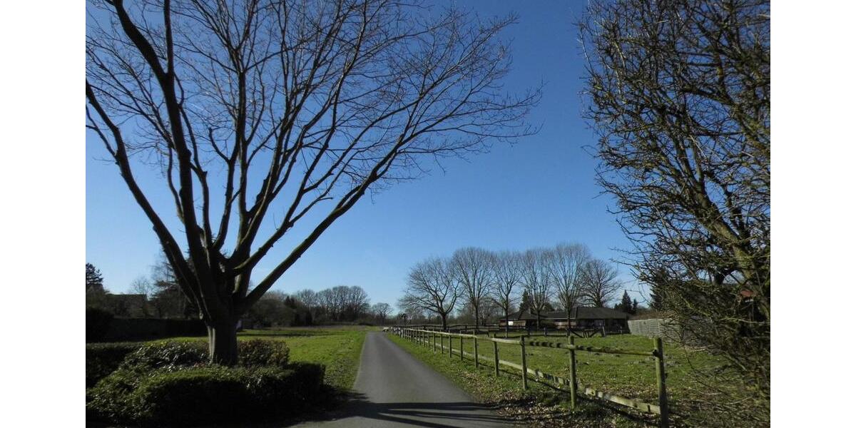 Dachgeschoßwohnung Münster Münster-Ost - 2 Zimmer, 65 m&sup2;, 750&euro; | Angebot:25780013