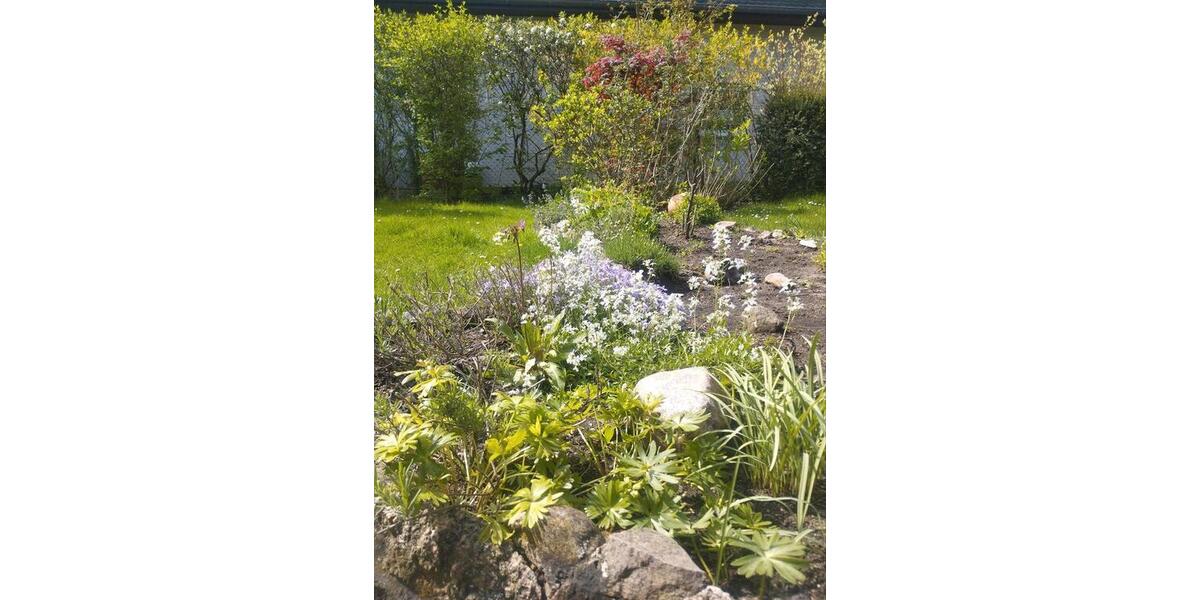 Freistehendes EFH auf grossem Grundstück 3 zimmer