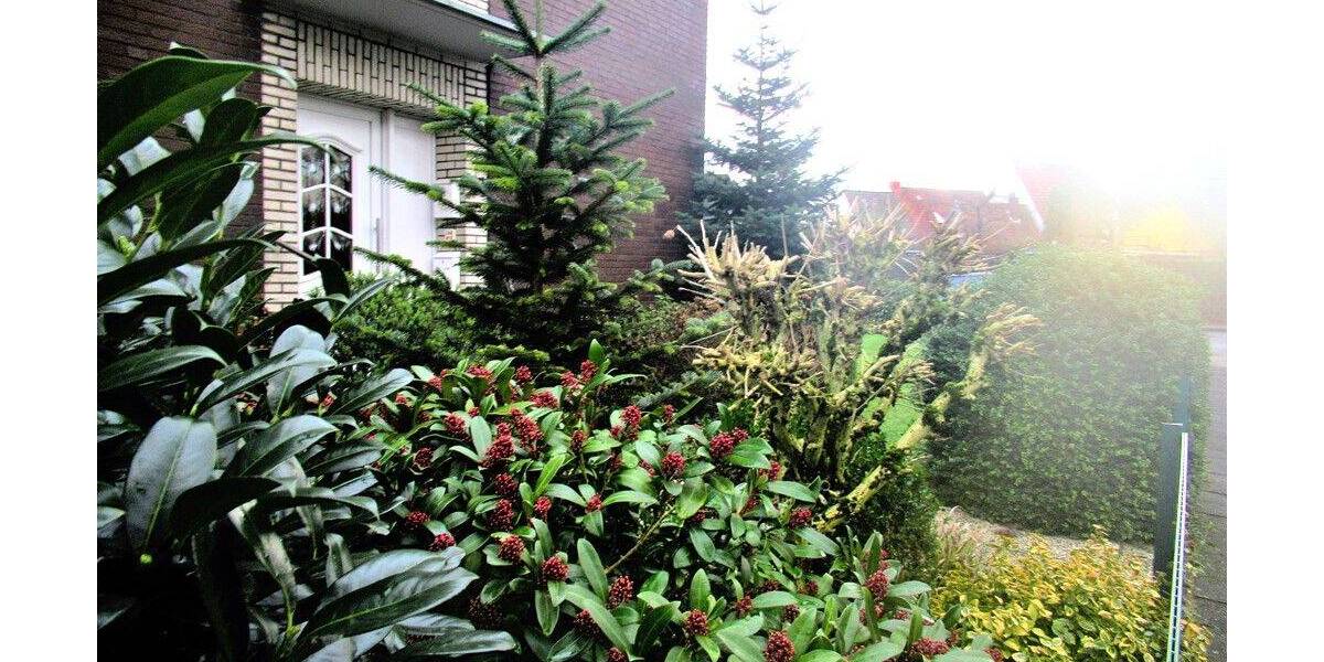 Etagenwohnung Cloppenburg - 2 Zimmer, 78 m&sup2;, 430&euro; | Angebot:26230368