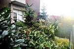 Etagenwohnung Cloppenburg - 2 Zimmer, 78 m&sup2;, 430&euro; | Angebot:26230368