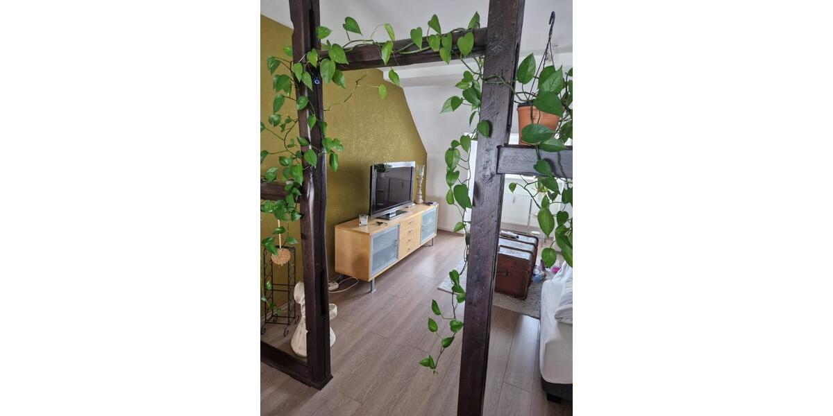 Dachgeschoßwohnung Burg - 2 Zimmer, 70 m&sup2;, 420&euro; | Angebot:24001915