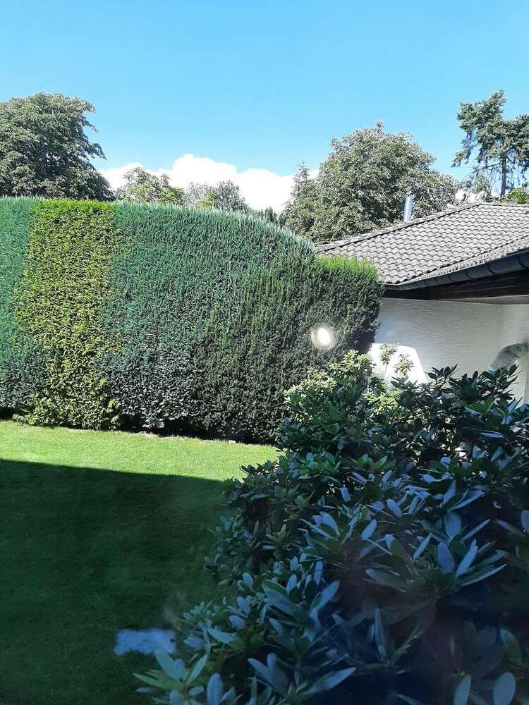 Wohnung zum Mieten in Mörfelden-Walldorf 320 € 20 m²