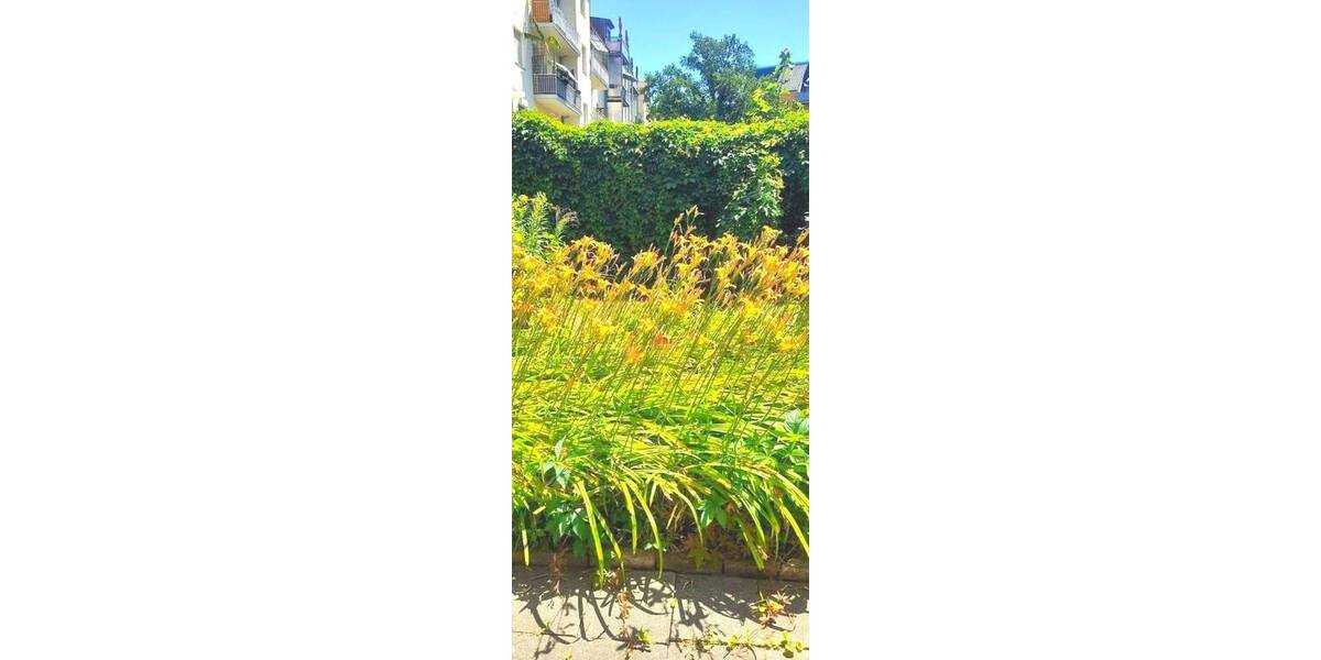 Etagenwohnung Weißenfels - 2 Zimmer, 65 m&sup2;, 450&euro; | Angebot:26753155