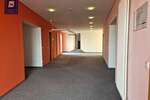Firmenkomplex mit Garage und EinliegerWohnung