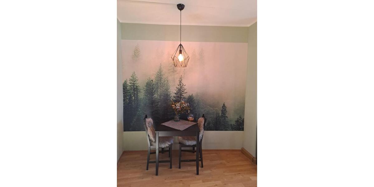 Erdgeschoßwohnung Saalfeld (Saale) - 2 Zimmer, 52 m&sup2;, 500&euro; | Angebot:25062046