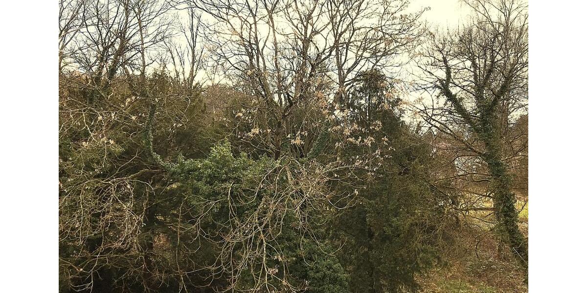 Etagenwohnung Saarbrücken - 5 Zimmer, 147 m&sup2;, 995&euro; | Angebot:25853646