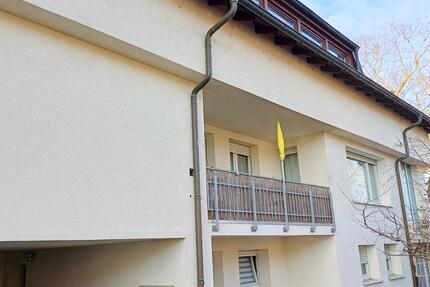 Gepflegte 2-Zimmer-Wohnung mit EBK in Mainz 2 zimmer