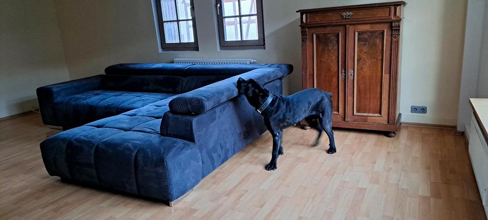 WG Zimmer in Fachwerkhaus 3 zimmer