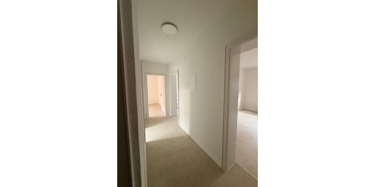 Etagenwohnung Annweiler am Trifels Annweiler - 3 Zimmer, 65 m&sup2;, 700&euro; | Angebot:26549973