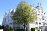 Renovierte 3-Zimmer- Wohnung mit großem Balkon frei!