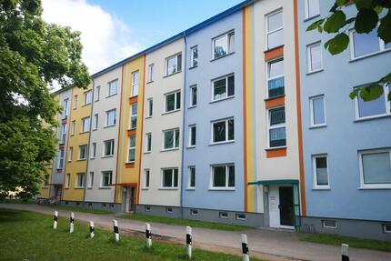 Wohnung Rosenow - 1 Zimmer, 37 m&sup2;, 200&euro; | Angebot:26604912