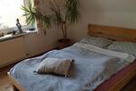 Wohnen auf Zeit Stralsund - 2 Zimmer, 50 m&sup2;, 40&euro; | Angebot:17729303