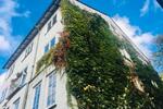Wohnen auf Zeit Kassel Südstadt - 1.5 Zimmer, 60 m&sup2;, 800&euro; | Angebot:26357335
