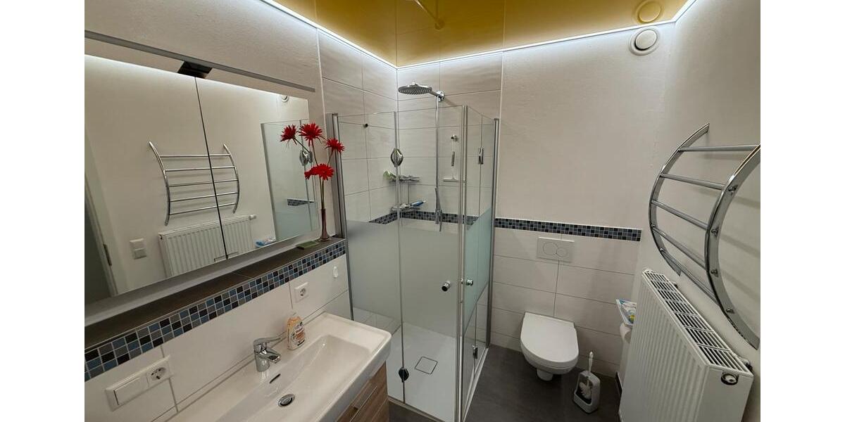 Wohnen auf Zeit Friedrichshafen Allmannsweiler - 1 Zimmer, 13 m&sup2;, 650&euro; | Angebot:24294152