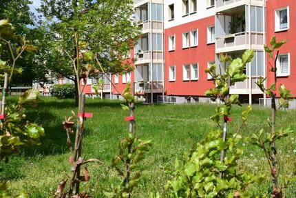 Raus aus dem Gebrauchten und rein in dein neues Zuhause! 3 zimmer