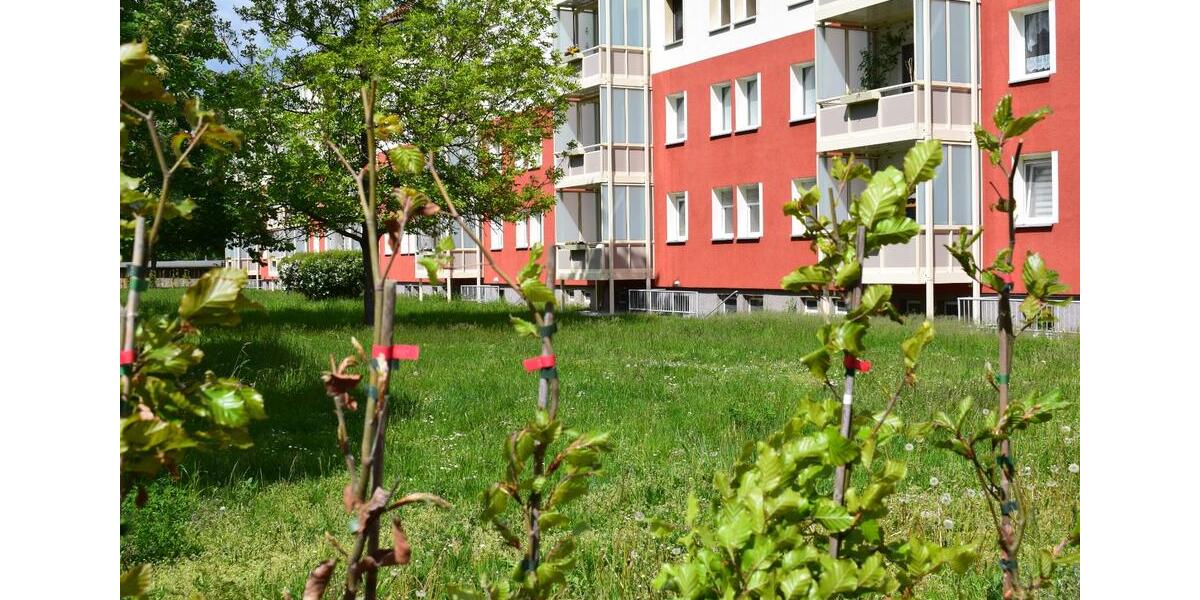 Raus aus dem Gebrauchten und rein in dein neues Zuhause! 3 zimmer