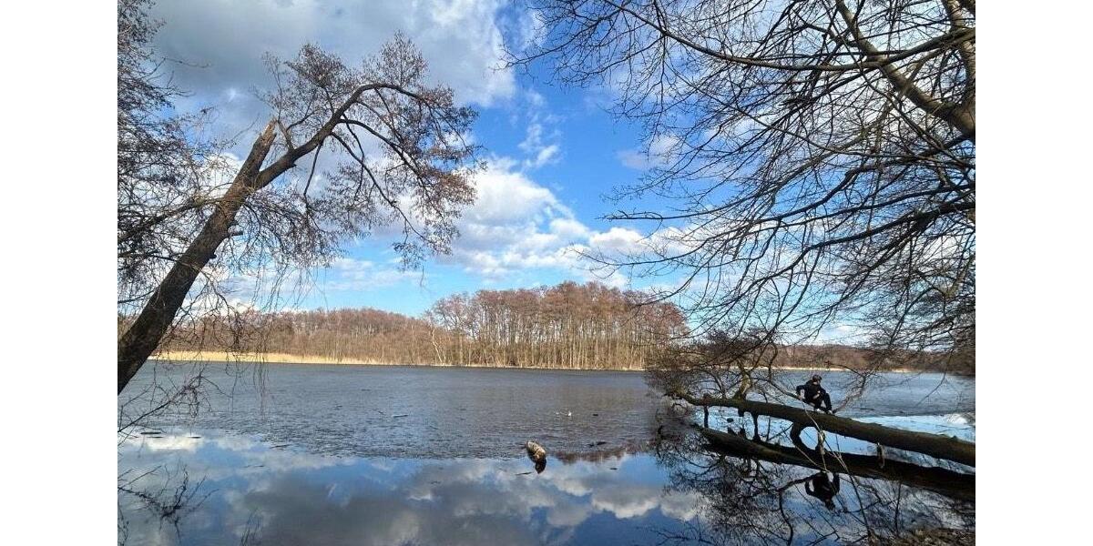 Einfamilienhaus Petershagen/Eggersdorf Eggersdorf - 5 Zimmer, 160 m&sup2;, 1.300&euro; | Angebot:26550506