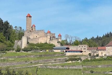 Haus Haßmersheim - 4 Zimmer, 138 m&sup2;, 1.550&euro; | Angebot:25899662