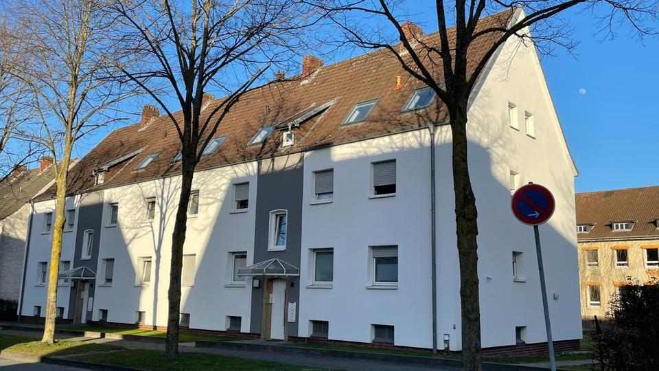 Helle Wohnung, 2 ZKB, 50 m², ab 01.01.2026 zu vermieten zimmer