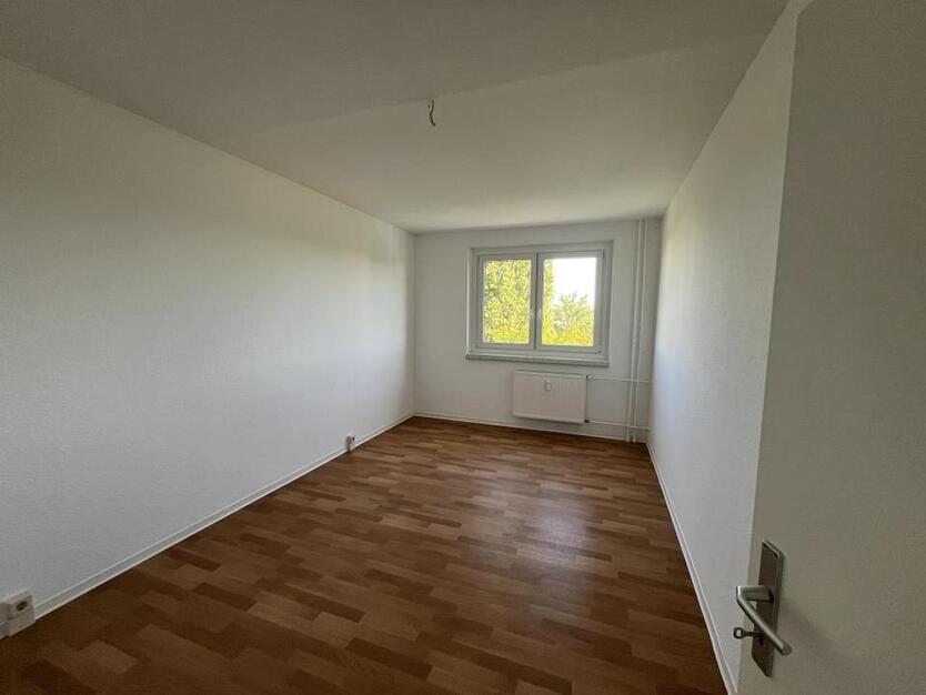 Hoch hinaus und den Ausblick genießen!